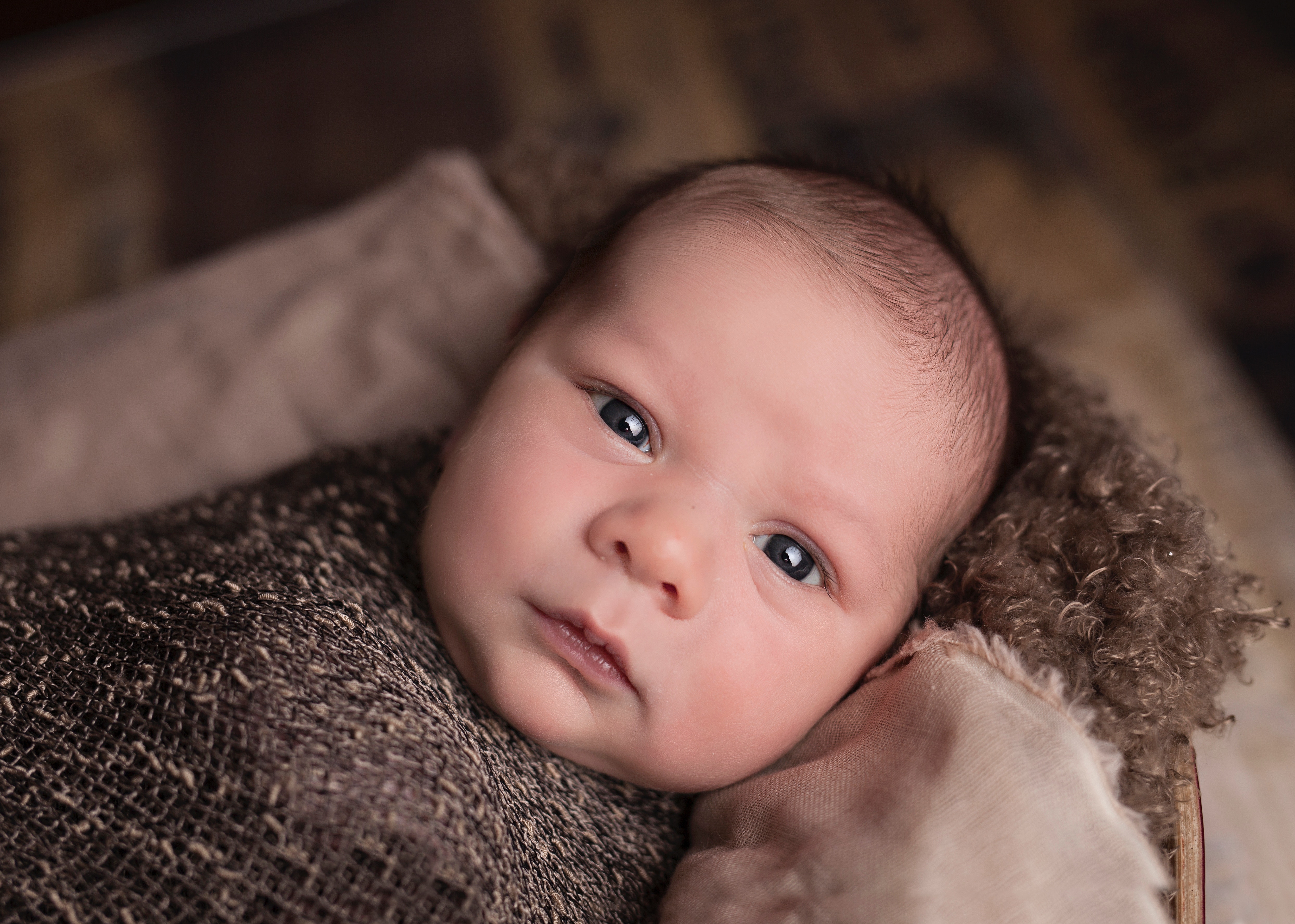 12 Newborn Photographers You Should Know In San Diego