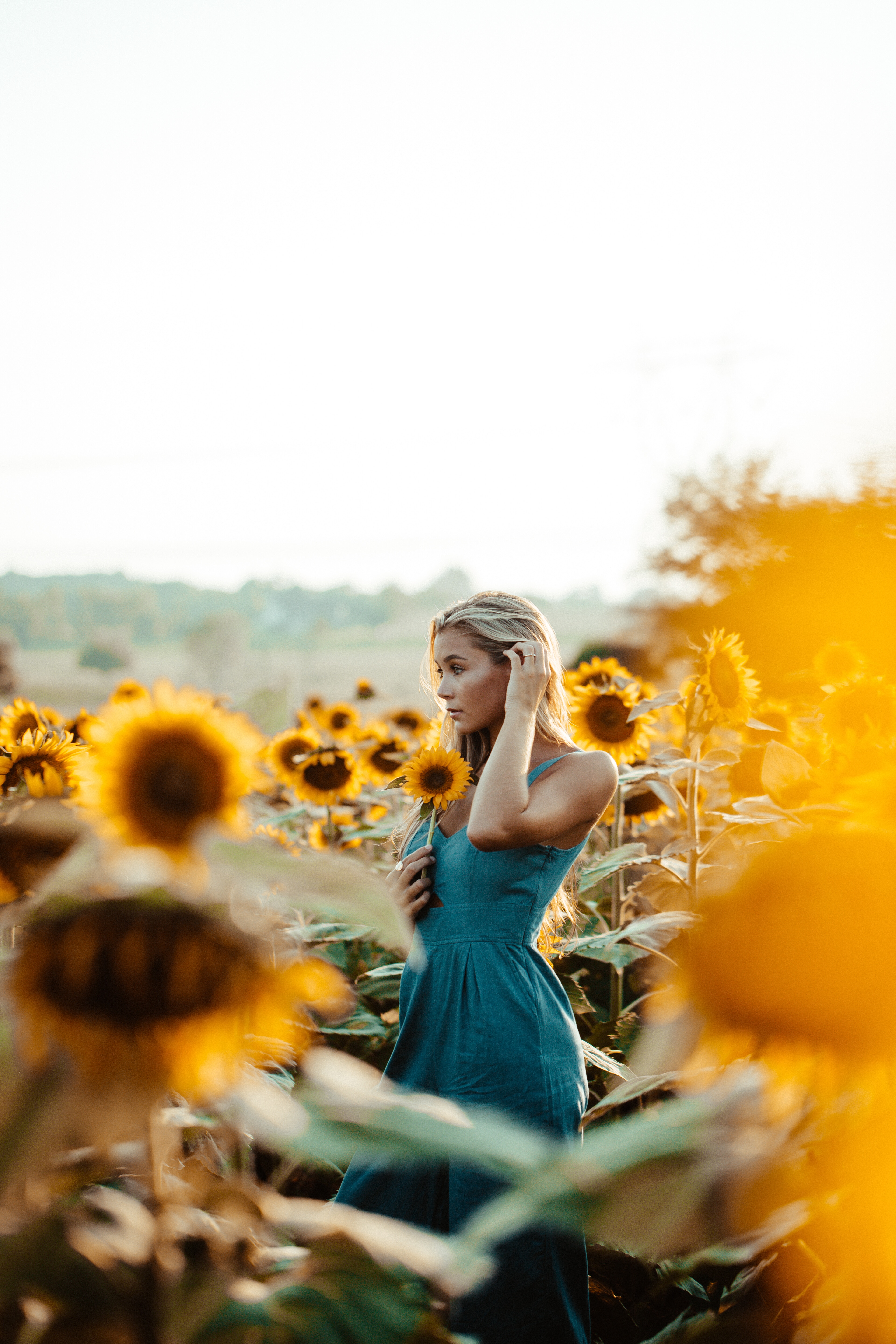 The Sunflower Photography Workshop: Tips and Tricks for Capturing These Magical Flowers